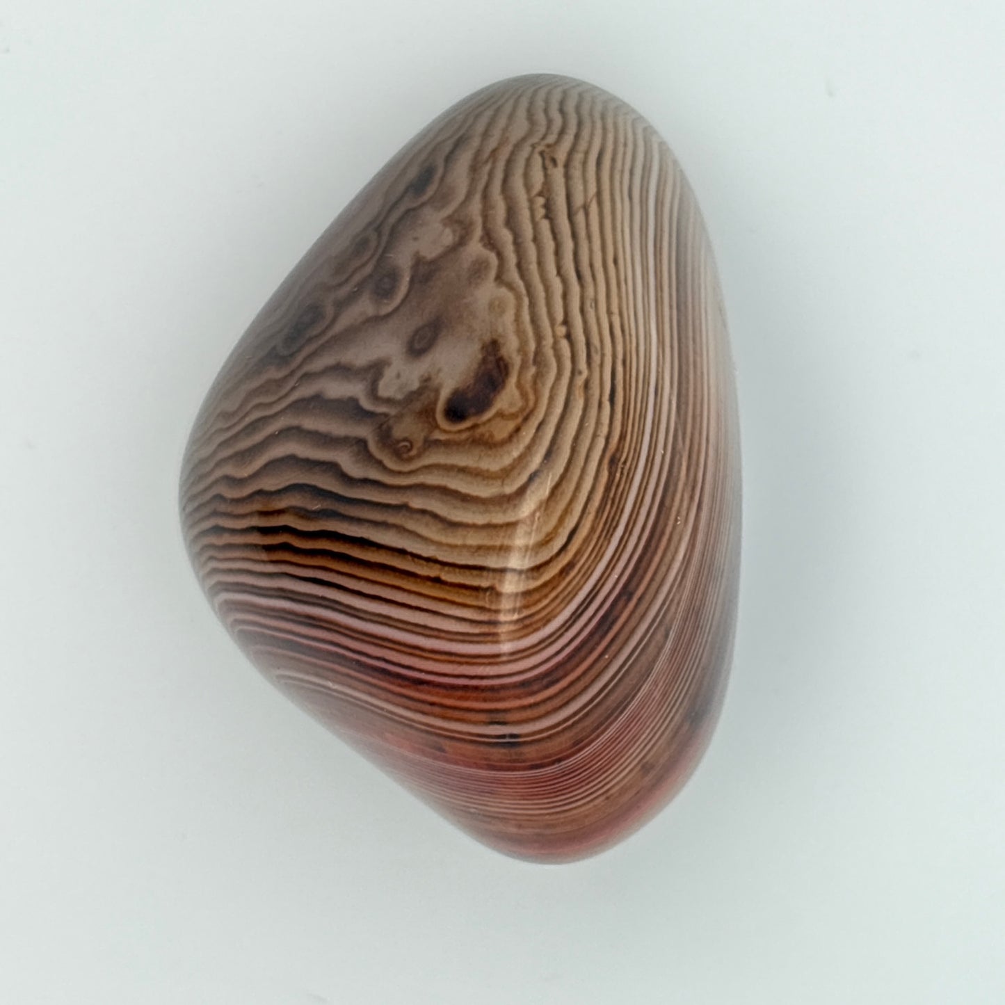 SILK (SARDONYX) AGATE PALMSTONE (999325)