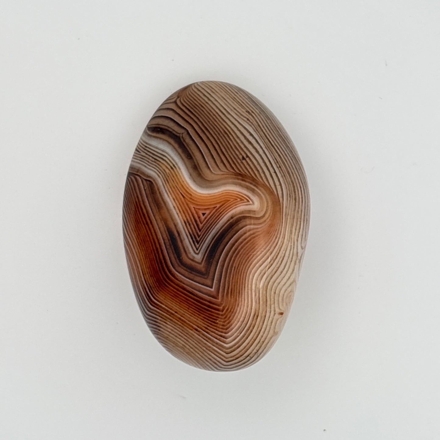 SILK (SARDONYX) AGATE PALMSTONE (999326)