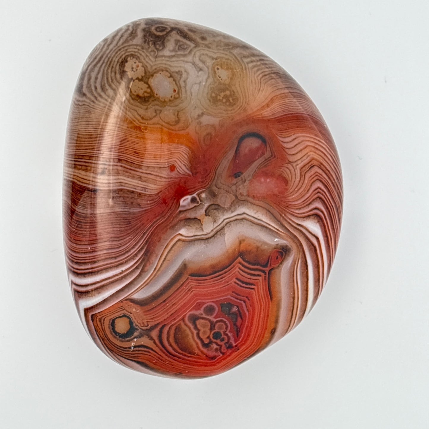 SILK (SARDONYX) AGATE PALMSTONE (999338)