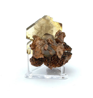 product__image