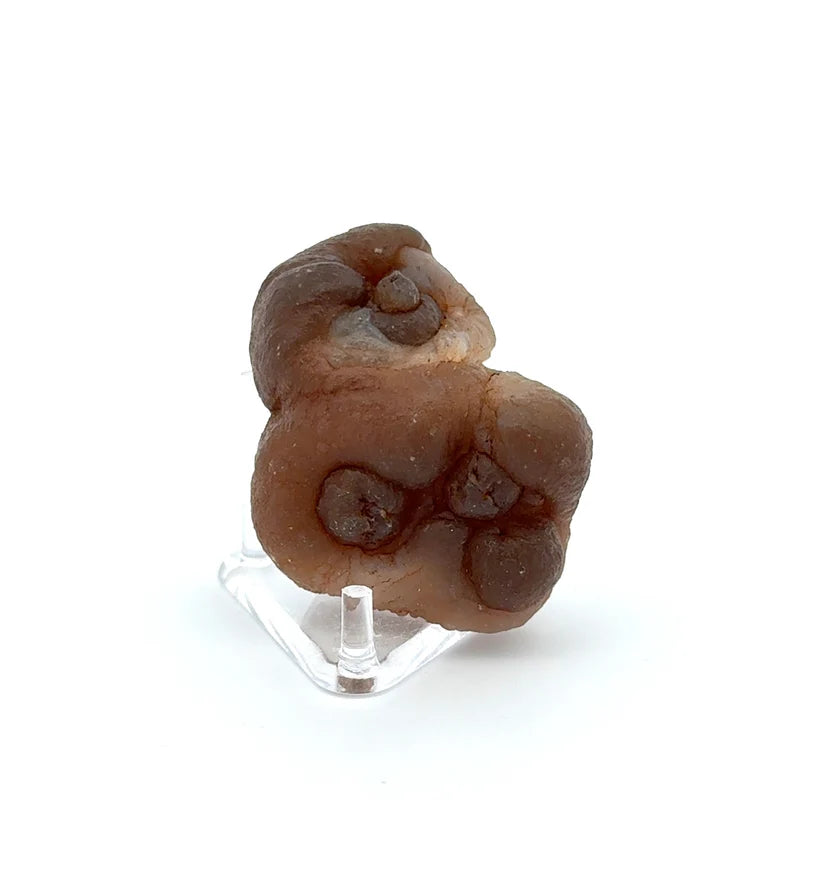 PANDA AGATE (939006)