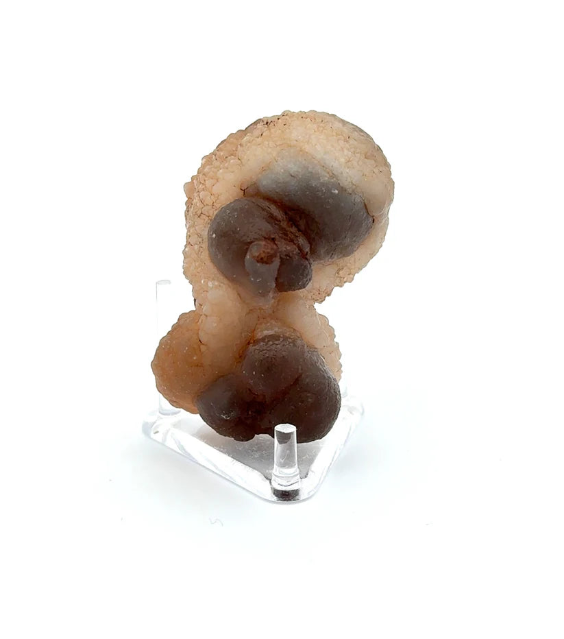 PANDA AGATE (939007)