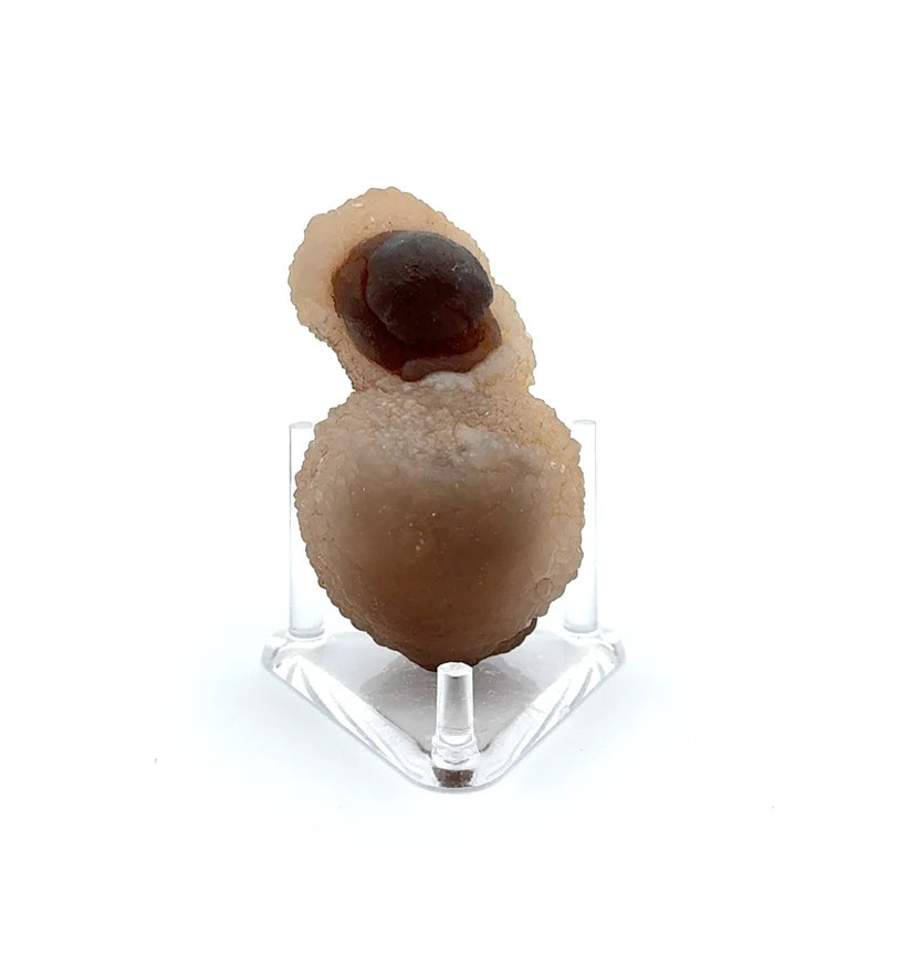 PANDA AGATE (939008)
