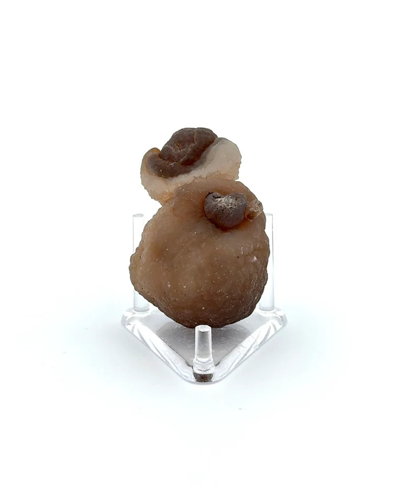 PANDA AGATE (939009)