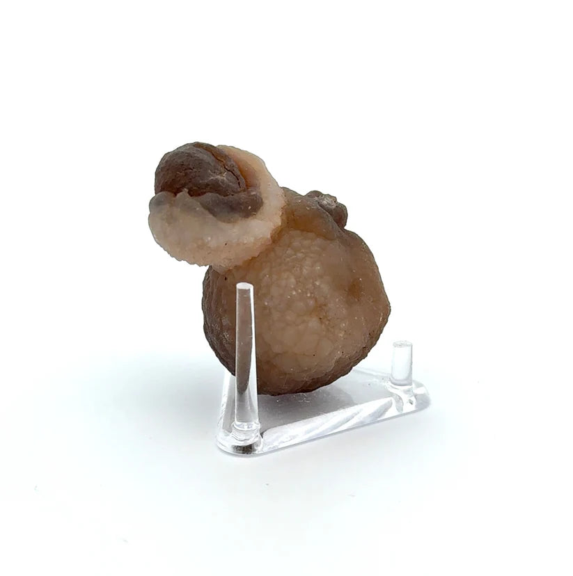 PANDA AGATE (939009)