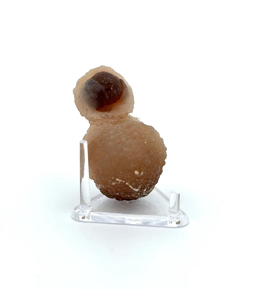 PANDA AGATE (939010)