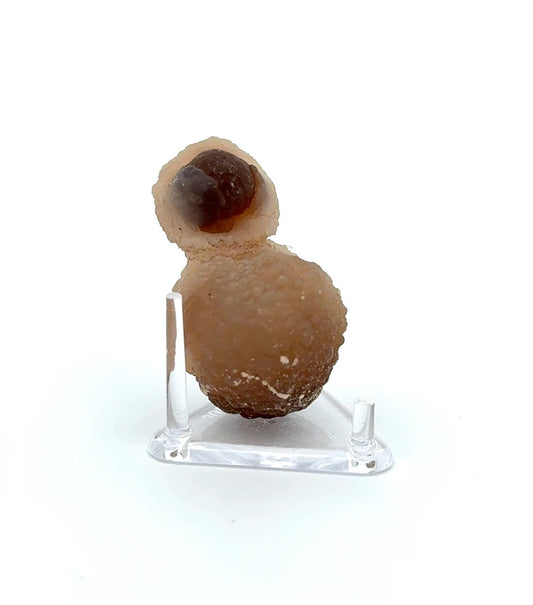 PANDA AGATE (939010)