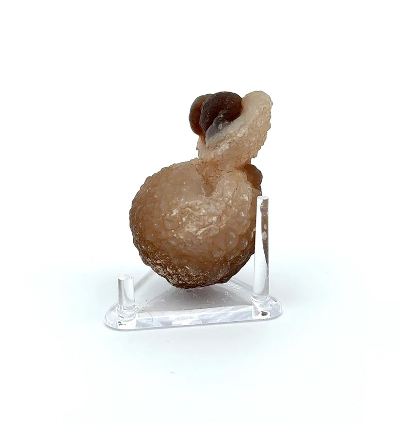 PANDA AGATE (939010)