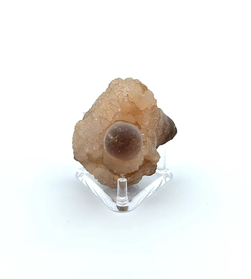 PANDA AGATE (939012)