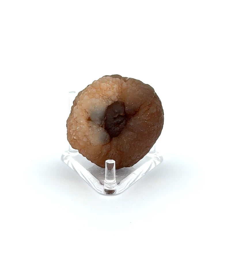 PANDA AGATE (939015)