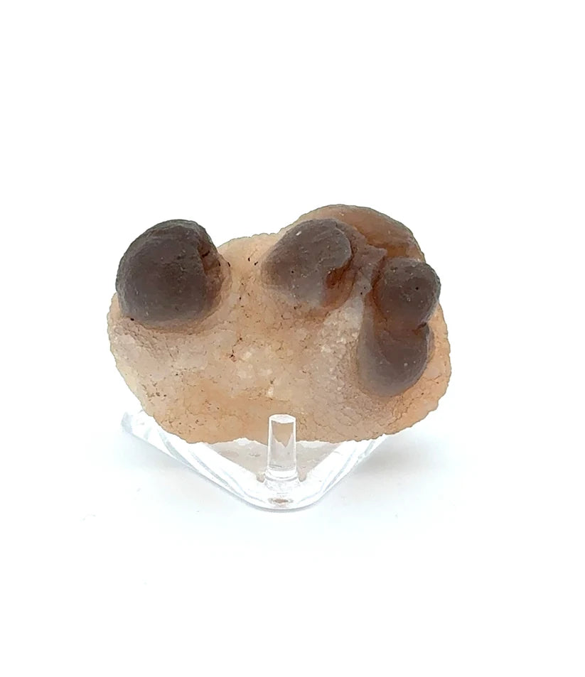 PANDA AGATE (939023)